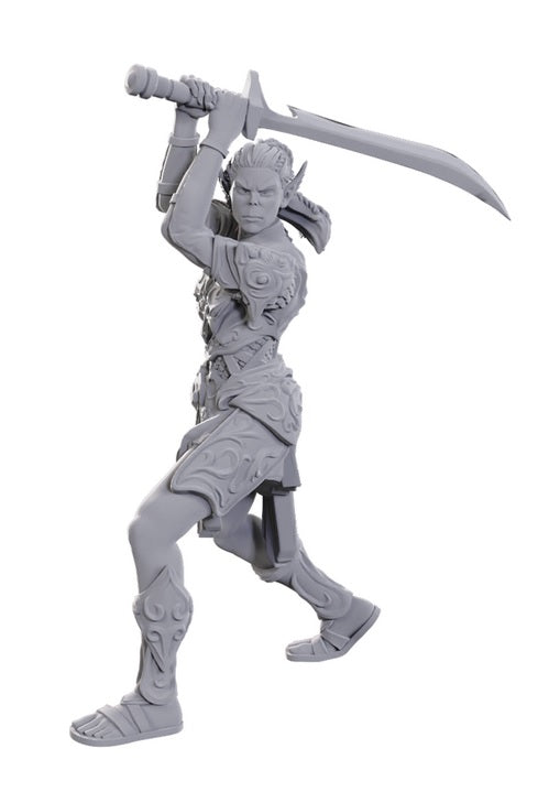 Dungeons & Dragons: Nolzur's Marvelous Unpainted Miniatures - Special Edition Baldur's Gate 3 Lae'zel & Shadowheart