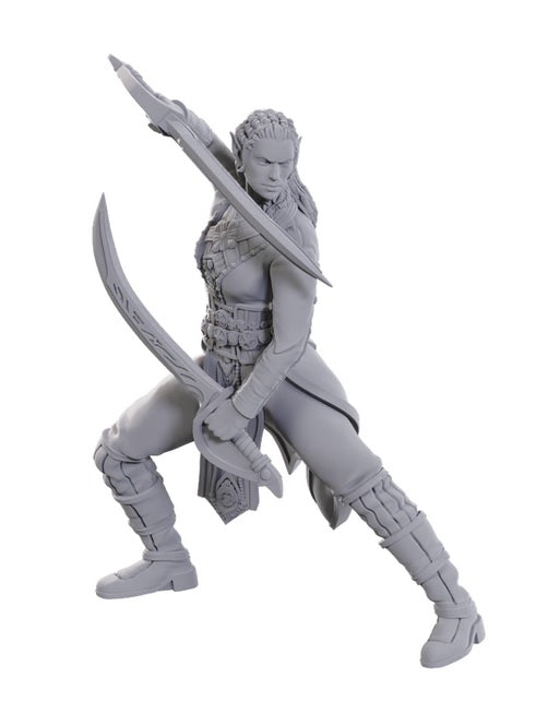 Dungeons & Dragons: Nolzur's Marvelous Unpainted Miniatures - Special Edition Baldur's Gate 3 Jaheira & Halsin