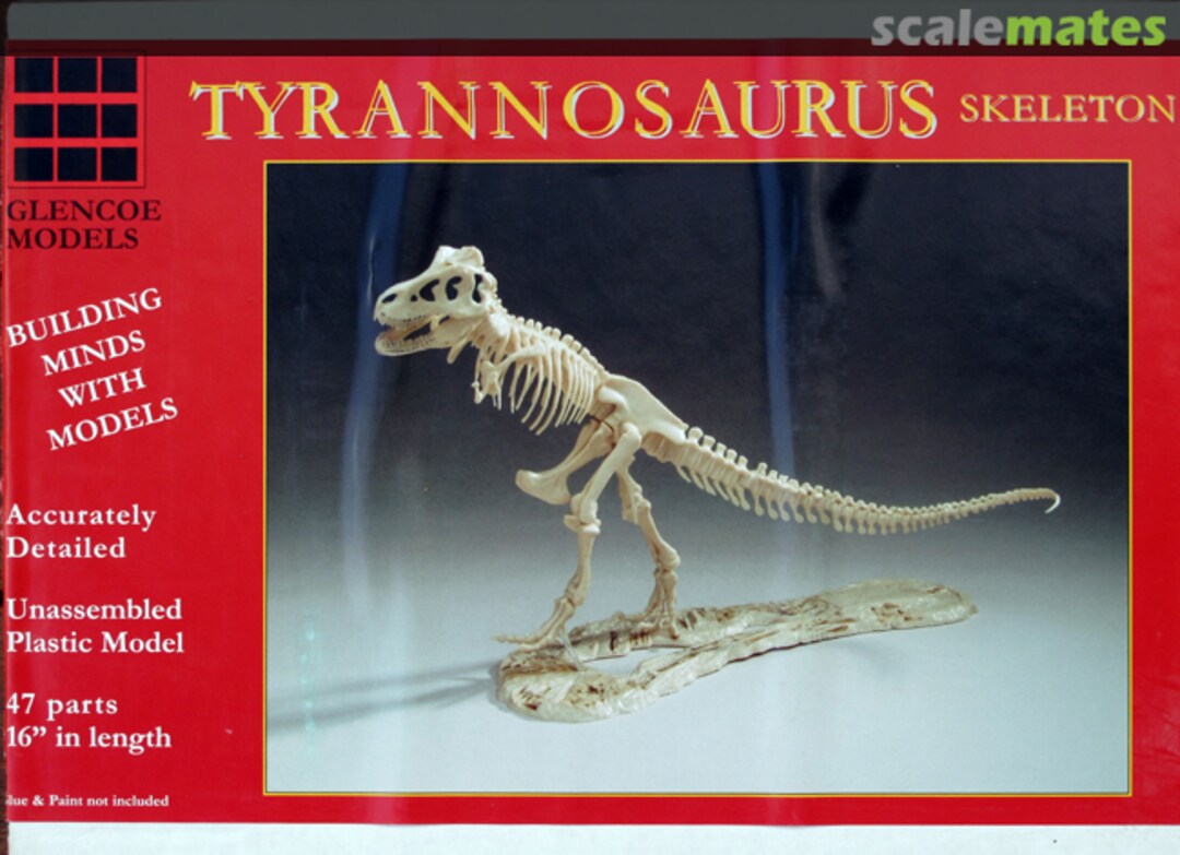 Glencoe 07906 1/25 TYRANNASAURUS SKELET