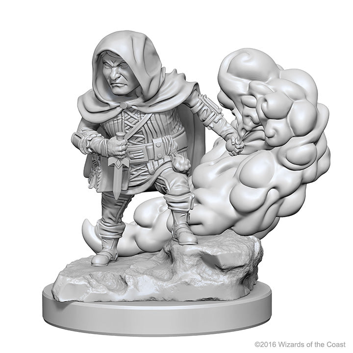 Dungeons & Dragons: Nolzur's Marvelous Unpainted Miniatures - W01 Halfling Male Rogue