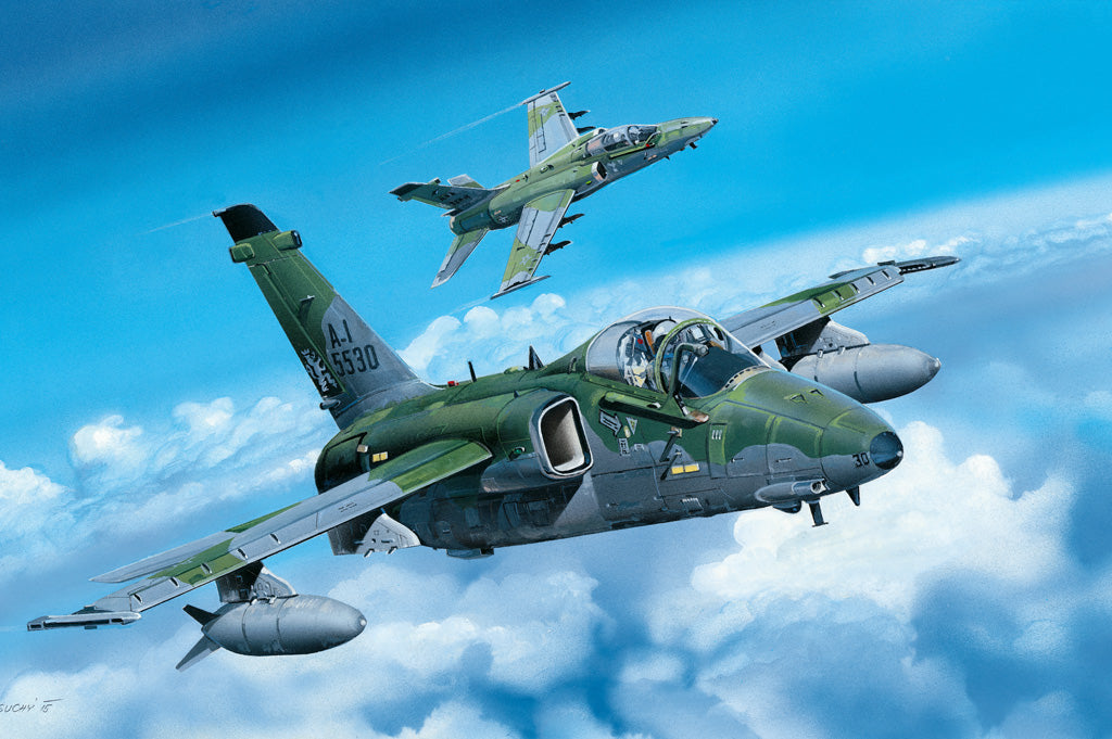 Hobby Boss 1/48 A-1A Ground Attack Aircraft