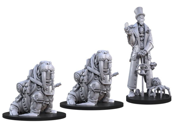 Animal Adventures: Time in a Bottle