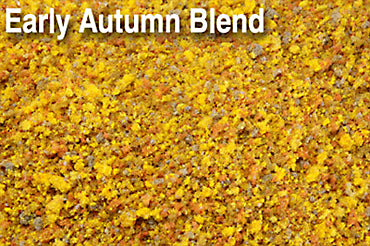 Scenic Express 870E EARLY AUTUMN BLEND 48OZ