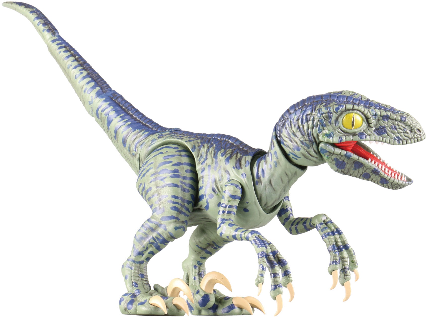 Fujimi Velociraptor (Crayon Shin-chan the Movie: Our Dinosaur Diary) Package Version