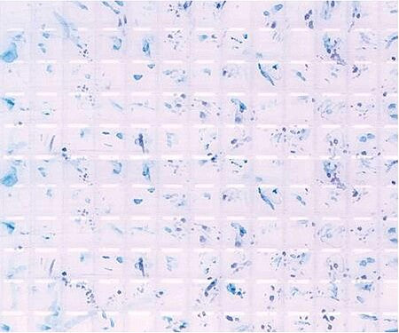 Plastruct 91742 (2)(PSC-42)3/16" SQUARE T