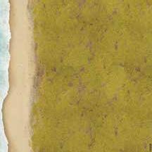 TANKS: Normandy Beach Game Mat 36''x36''