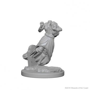 D&D Nolzurs Marvelous Unpainted Minis: Ghosts