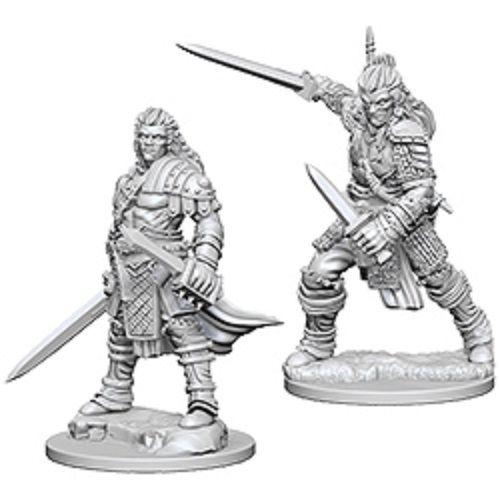 Pathfinder Deep Cuts Unpainted Miniatures: Human Male Fighter
