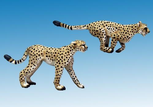 28mm Modern: North Star Africa - Cheetahs (2)