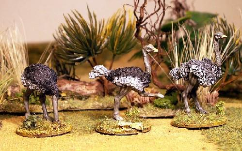28mm Modern: North Star Africa - Ostrich (3)