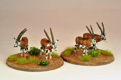 28mm Modern: North Star Africa - Oryx (5)