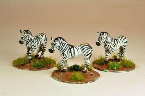 28mm Modern: North Star Africa - Zebra (5)