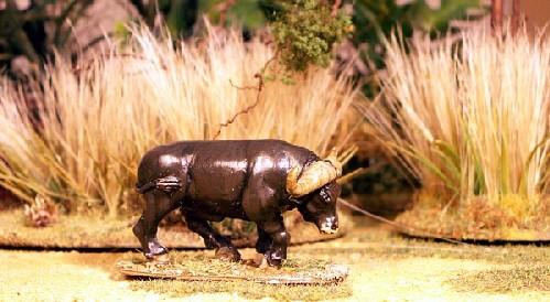 28mm Modern: North Star Africa - Cape Buffalo (A) (1)