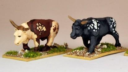 28mm Modern: North Star Africa - Oxen (2)