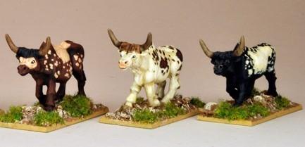 28mm Modern: North Star Africa - African Cattle (3)
