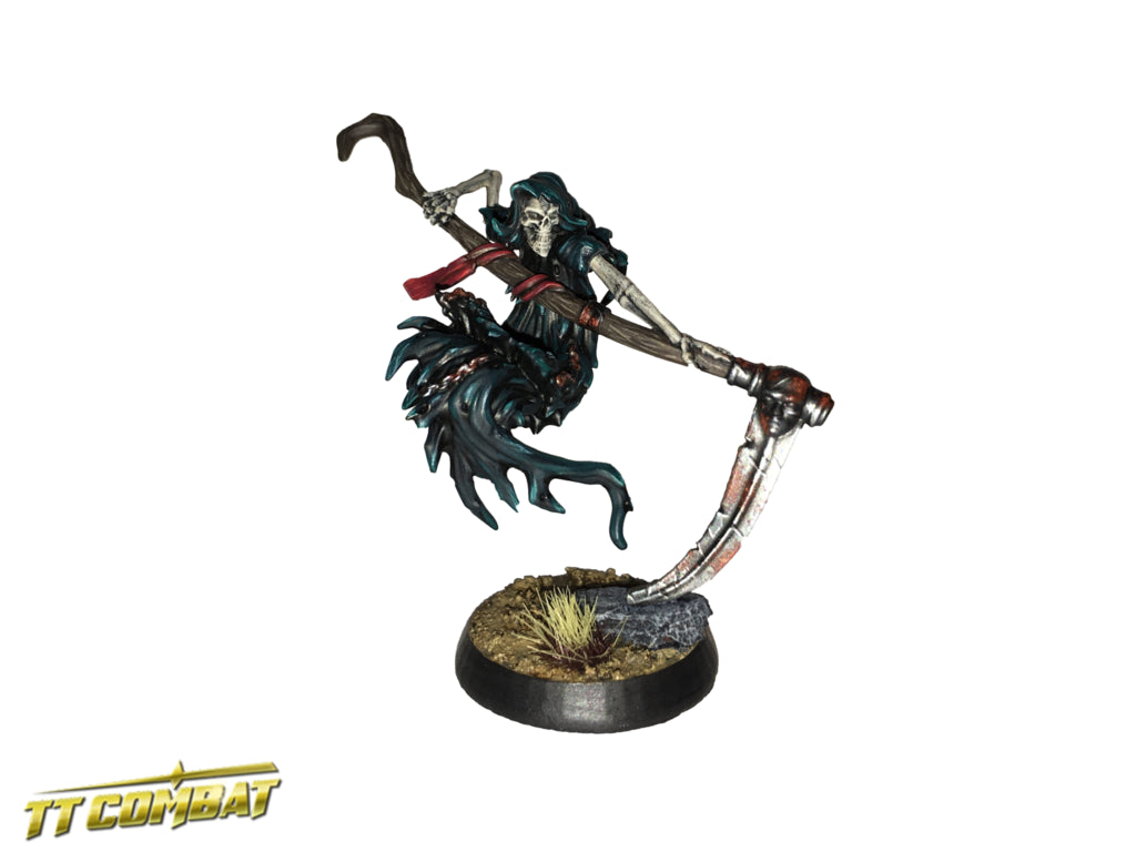 TT Combat Fantasy Heroes: Wraith