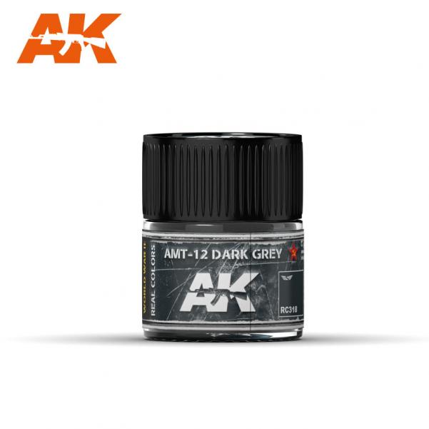 AK-Interactive: Real Colors - AMT-12 Dark Grey 10ml