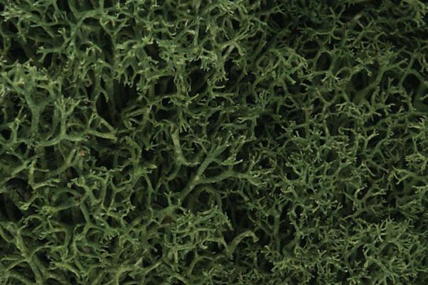 Woodland Scenics: Lichen - Medium Green