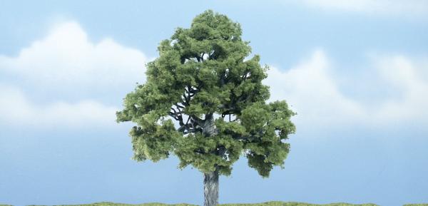 Woodland Scenics: Tree Kits - Premium Beech (1/pkg 4'')