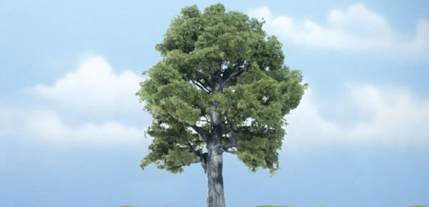 Woodland Scenics: Tree Kits - Premium Oak (1/pkg 5'')