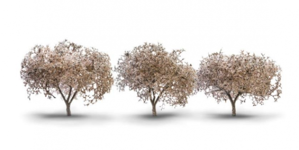 Woodland Scenics: Tree Kits - Cherry Blossoms (3/pkg - 2.3'' - 3.3'')