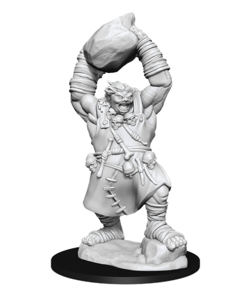 D&D Nolzurs Marvelous Unpainted Minis: Wave 11 - Ogre