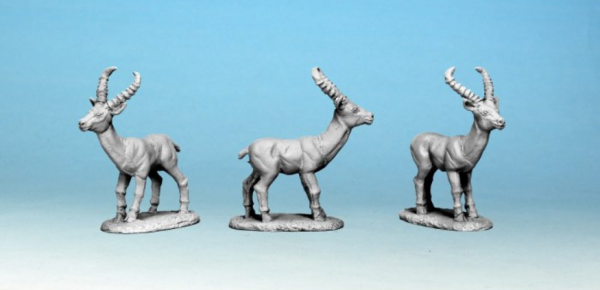 28mm Modern: North Star Africa - Antelope (5)