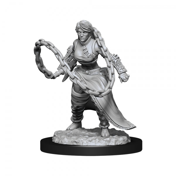 D&D Nolzurs Marvelous Unpainted Minis: Wave 14 - Human Monk  Female