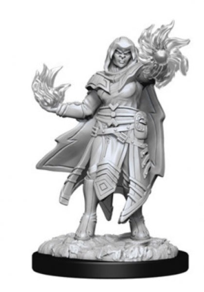D&D Nolzurs Marvelous Unpainted: Wave 15 Hobgoblin Fighter (M) & Hobgoblin Wizard (F) (Single Pick)