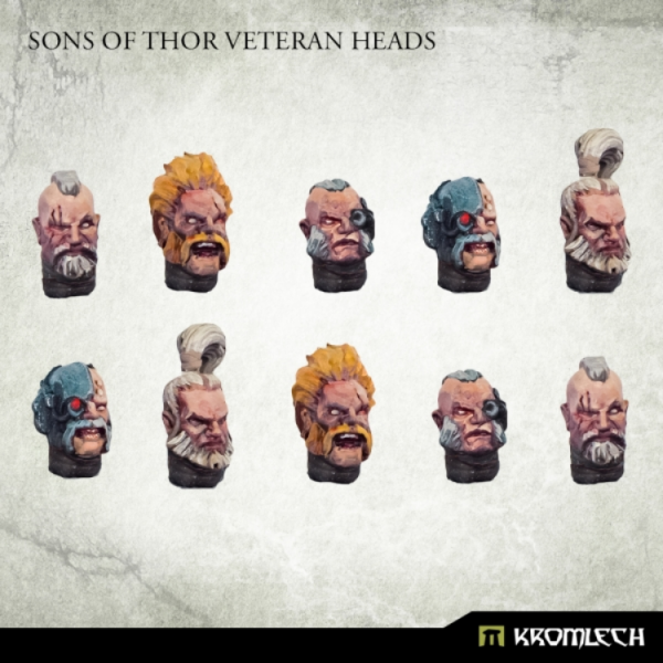Conversion Bitz: Sons of Thor Veteran Heads (10)