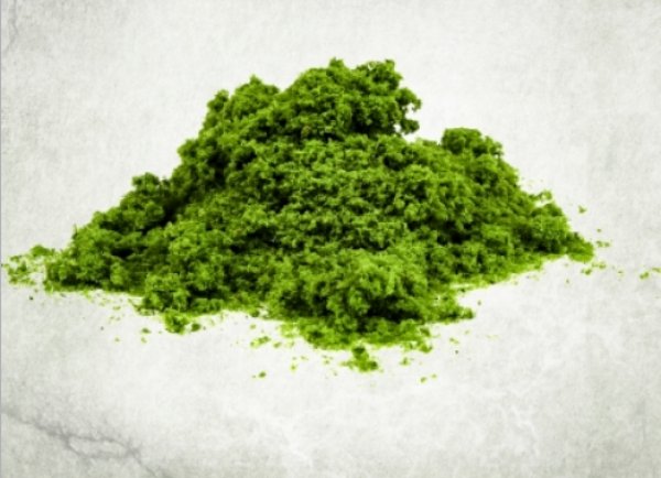 Accessories: Coarse Turf - Light Green (120ml)