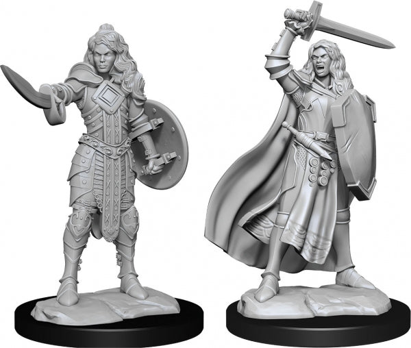 Pathfinder Deep Cuts Unpainted Miniatures: Wave 14 - Human Champion Female