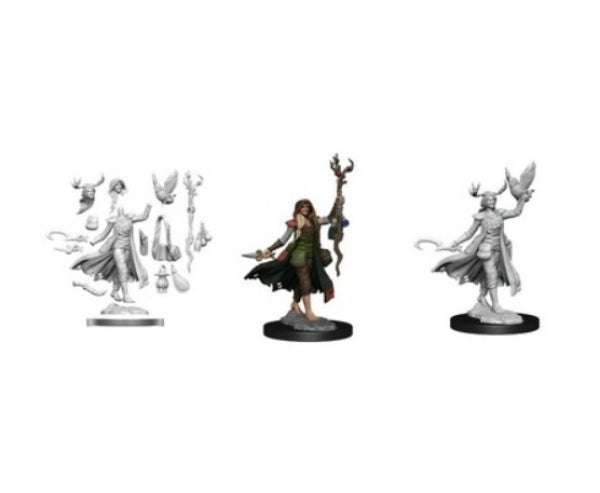 Dungeons & Dragons Frameworks: W01 Human Druid Female