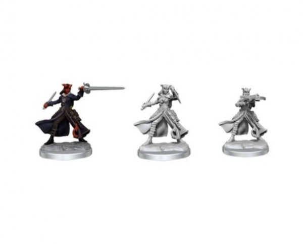 Dungeons & Dragons Frameworks: W01 Tiefling Rogue Female