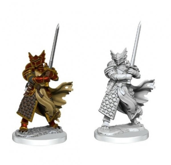 Dungeons & Dragons Frameworks: W01 Dragonborn Paladin Male