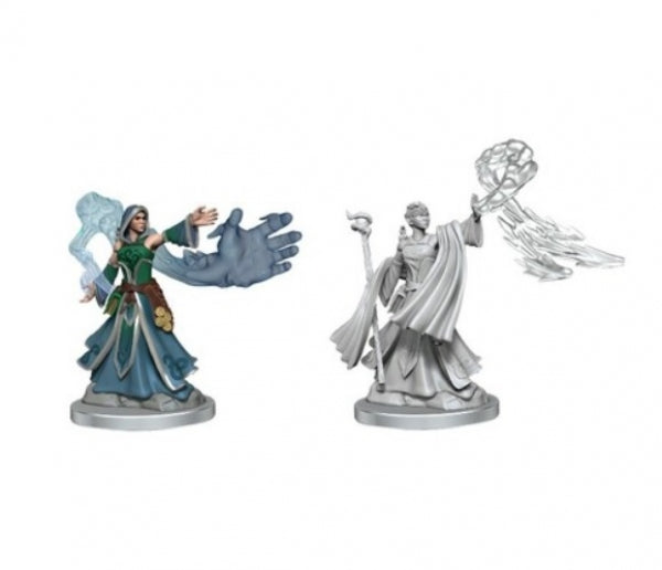 Dungeons & Dragons Frameworks: W01 Elf Wizard Female