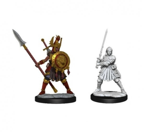Dungeons & Dragons Frameworks: W01 Human Fighter Female