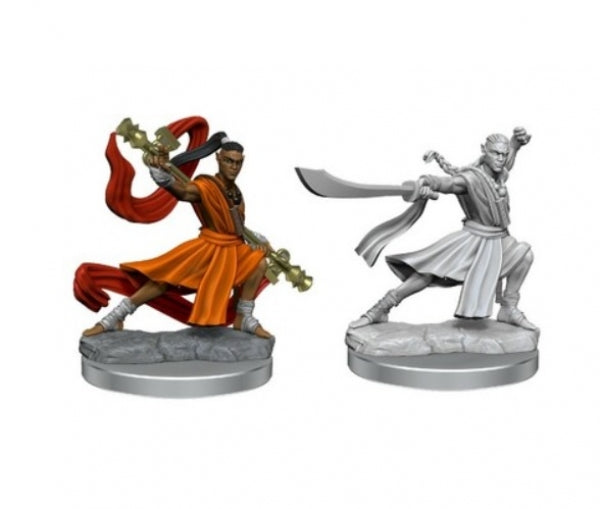 Dungeons & Dragons Frameworks: W01 Elf Monk Male