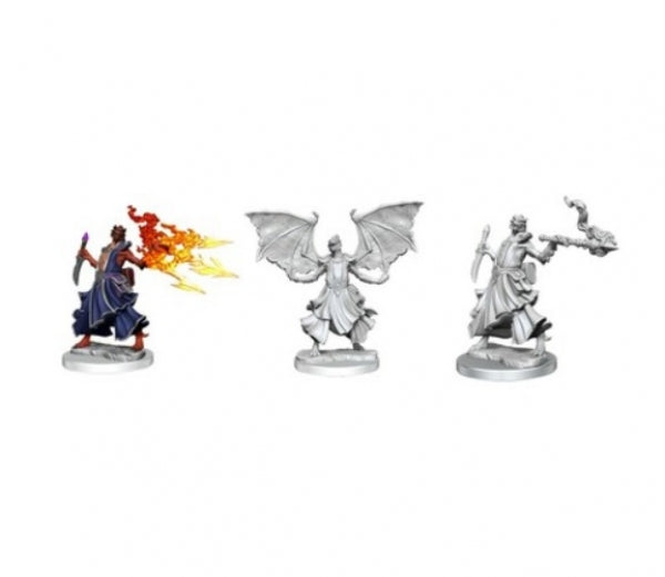 Dungeons & Dragons Frameworks: W01 Dragonborn Sorcerer Female