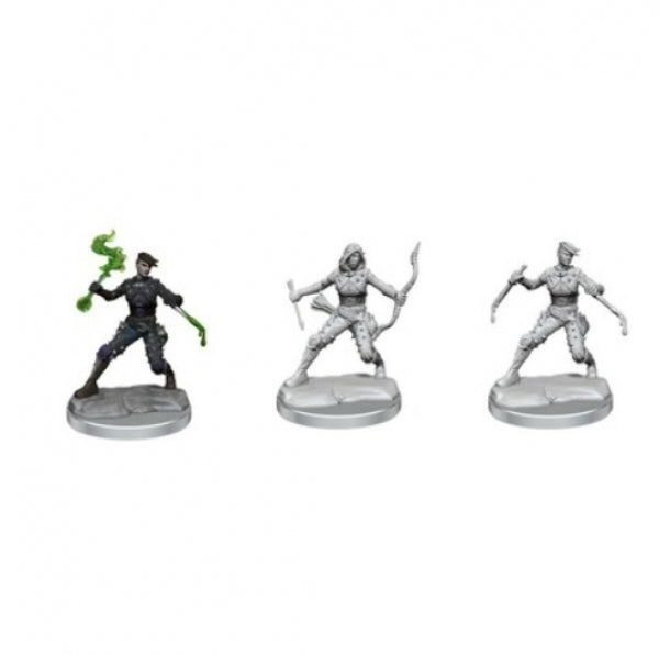 Dungeons & Dragons Frameworks: W01 Human Rogue Female