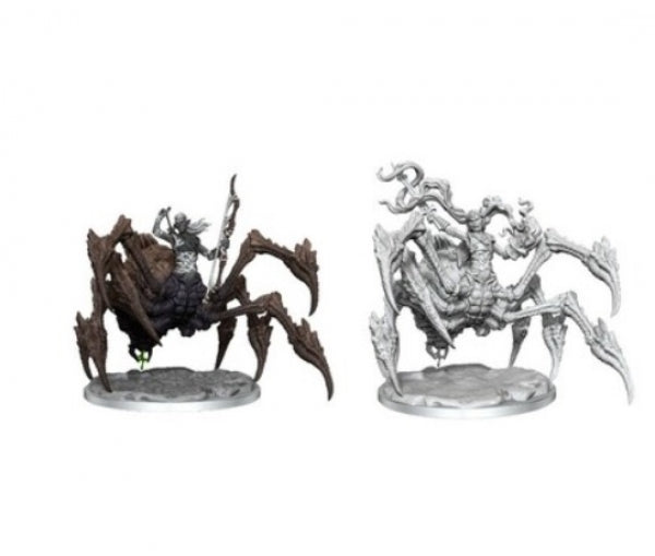 Dungeons & Dragons Frameworks: W01 Drider