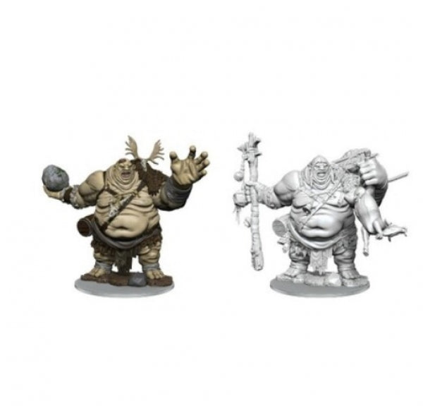 Dungeons & Dragons Frameworks: W01 Hill Giant