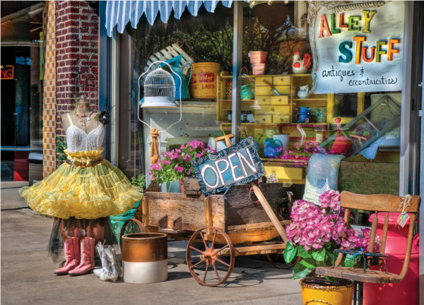 Sidewalk Treasures Puzzle (1000 pc puzzle)