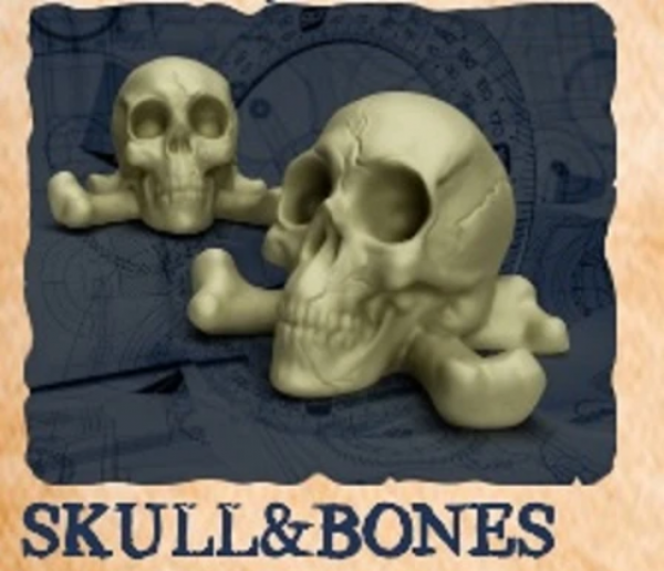 Painted Plastic 10-pack Resource Tokens: Skull & Bones