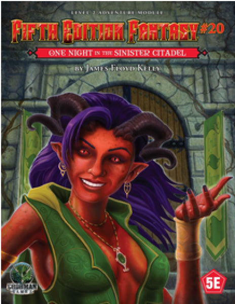 Dungeons & Dragons RPG: (Fifth Edition Fantasy) #20 - One Night Inside the Sinister Citadel