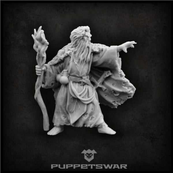 Puppetswar: Druid