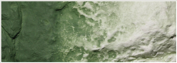 Woodland Scenics: All Game Terrain Base Paint - Green Base Paint