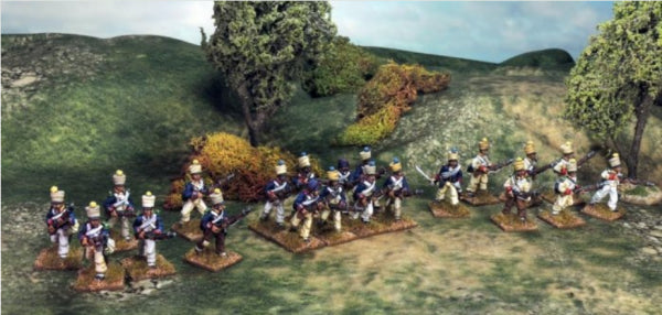 Muskets & Tomahawks: French Army - Napoleonic Wars