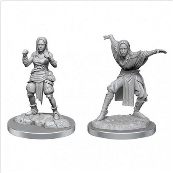 Pathfinder Deep Cuts Unpainted Miniatures: Wave 21 Half-Elf Monk Females