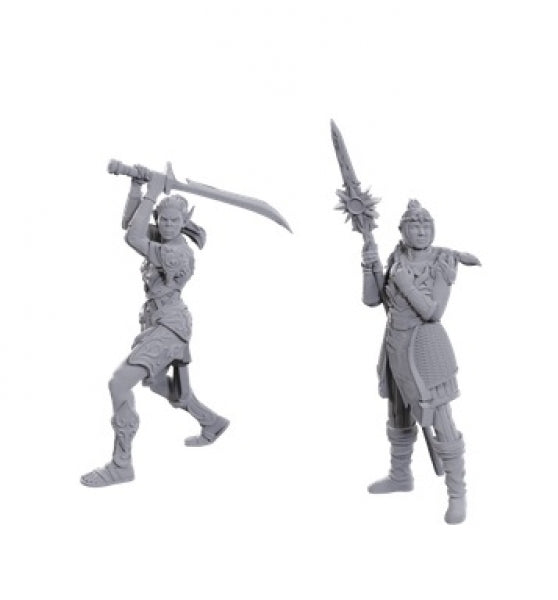 D&D Nolzurs Marvelous Minis: Special Edition Baldurs Gate 3- Laezel & Shadowheart